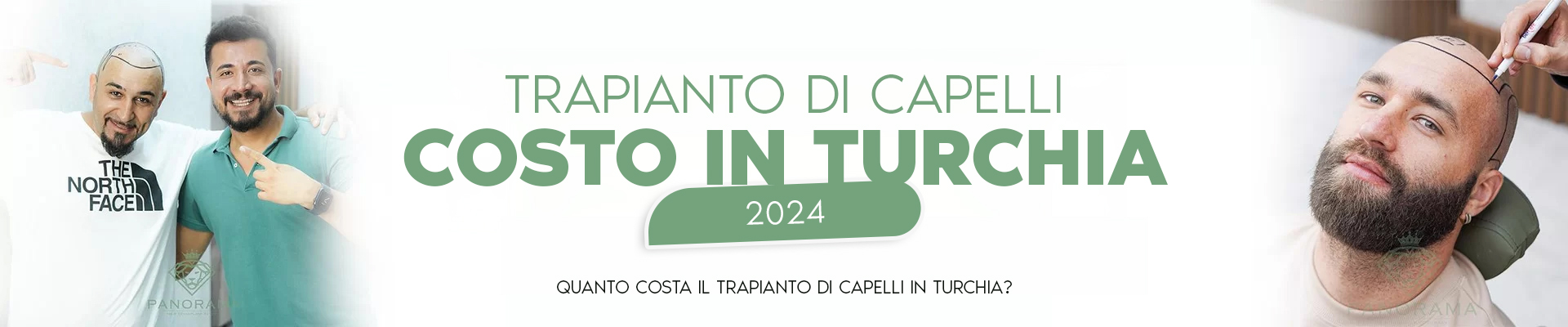 panorama hair turkey