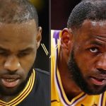 hair transplantation